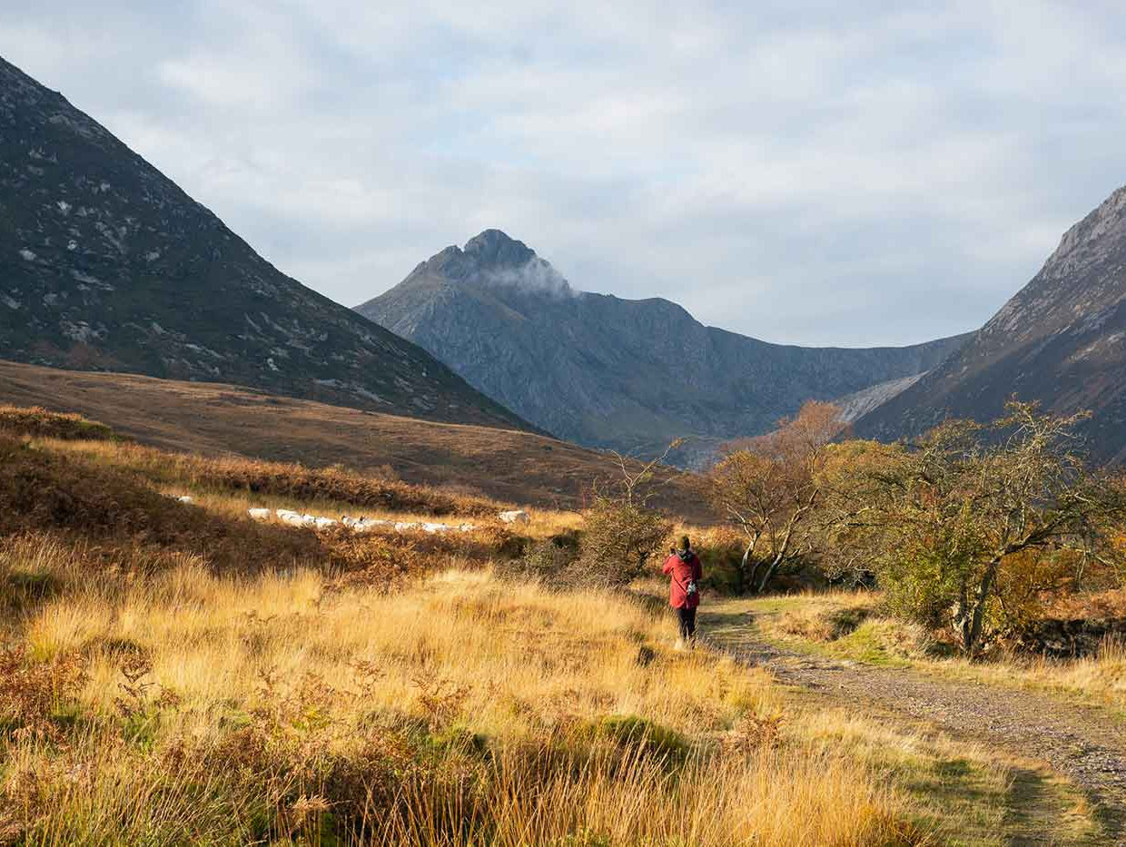 A Scotland Saunter - Club Ride Apparel