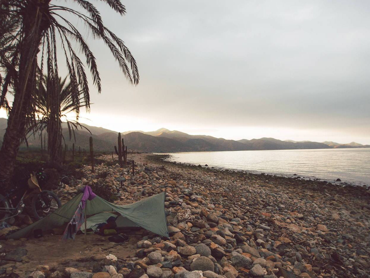 Joanie The World Traveler - Club Ride Apparel