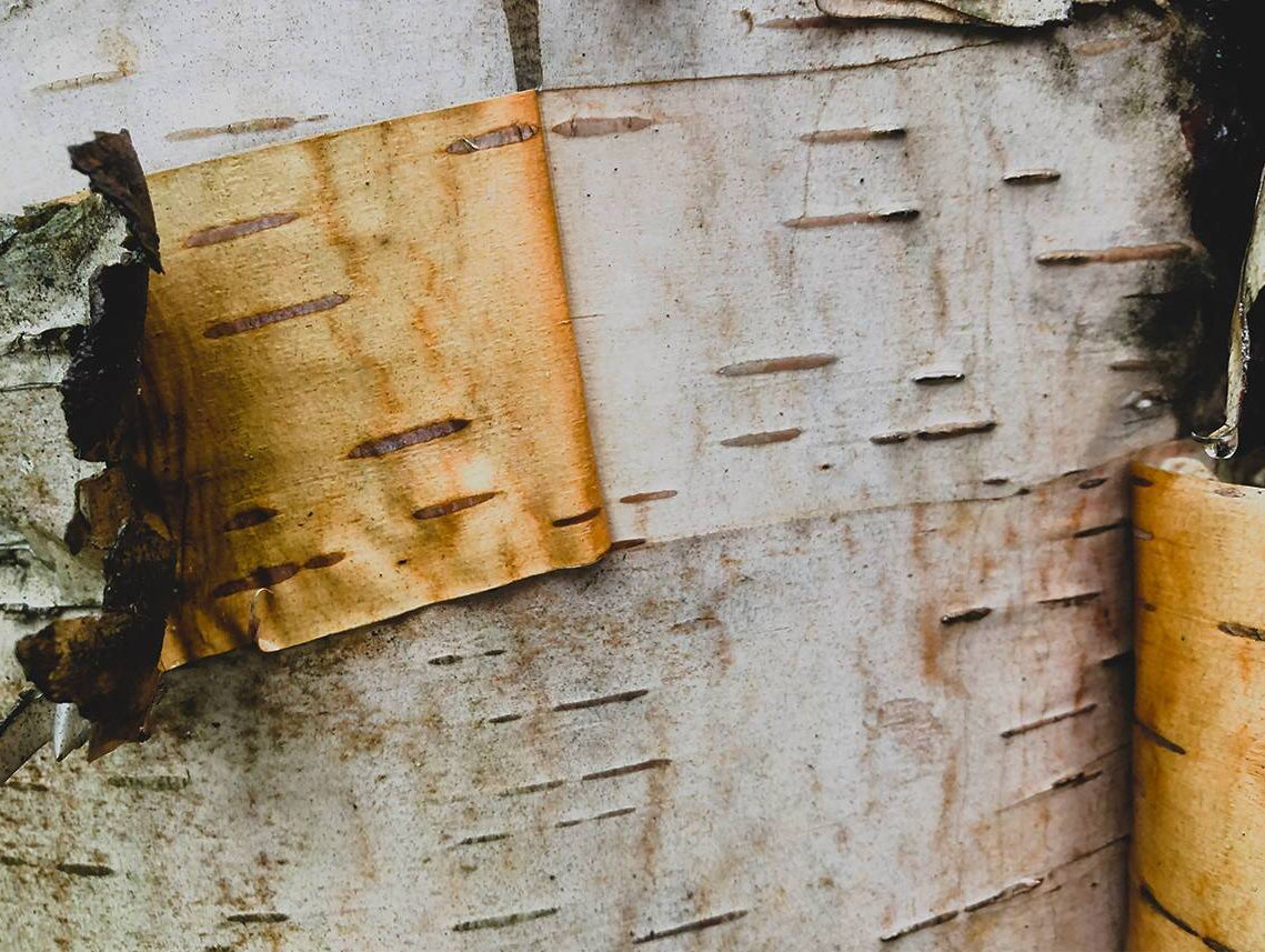 Kingdom Trails - Club Ride Apparel