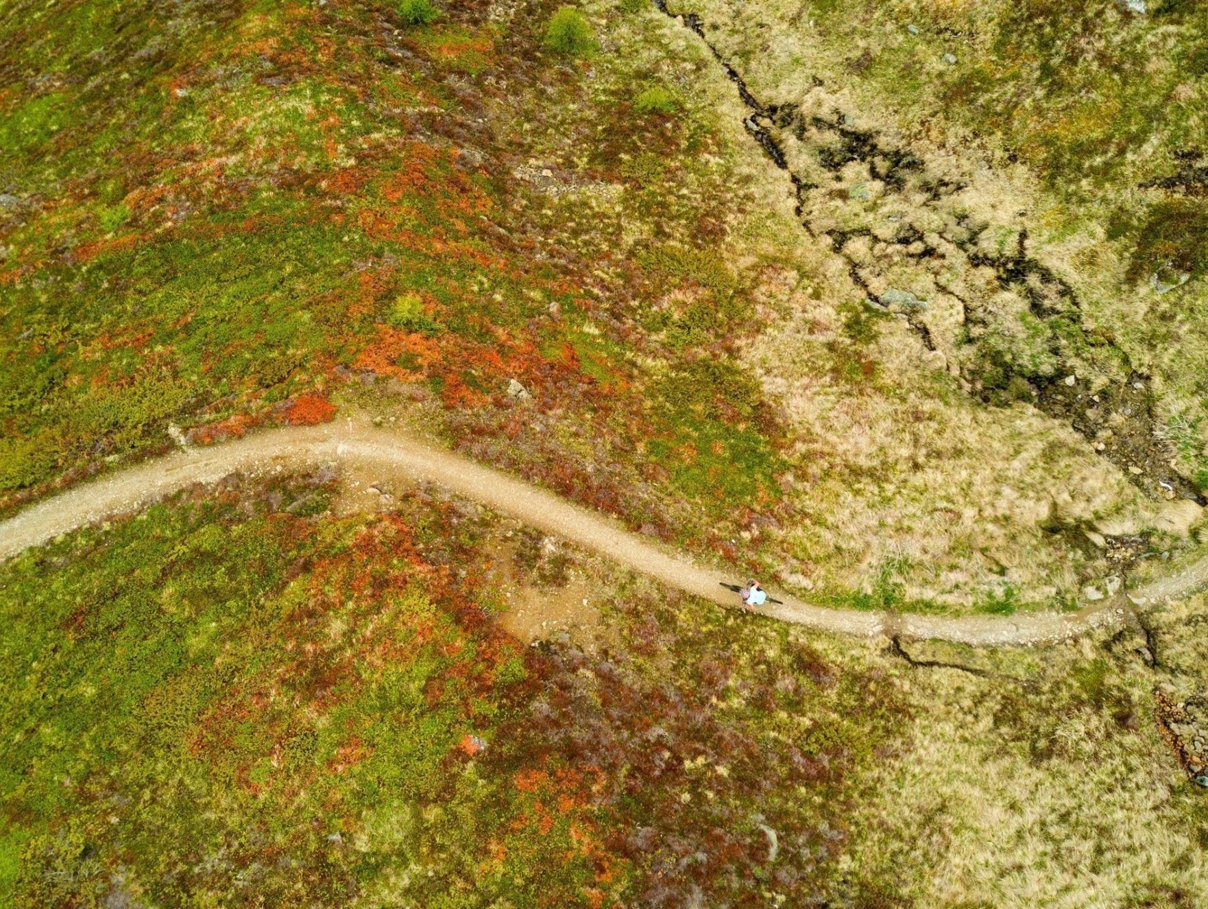 Ode to Summer - Club Ride Apparel