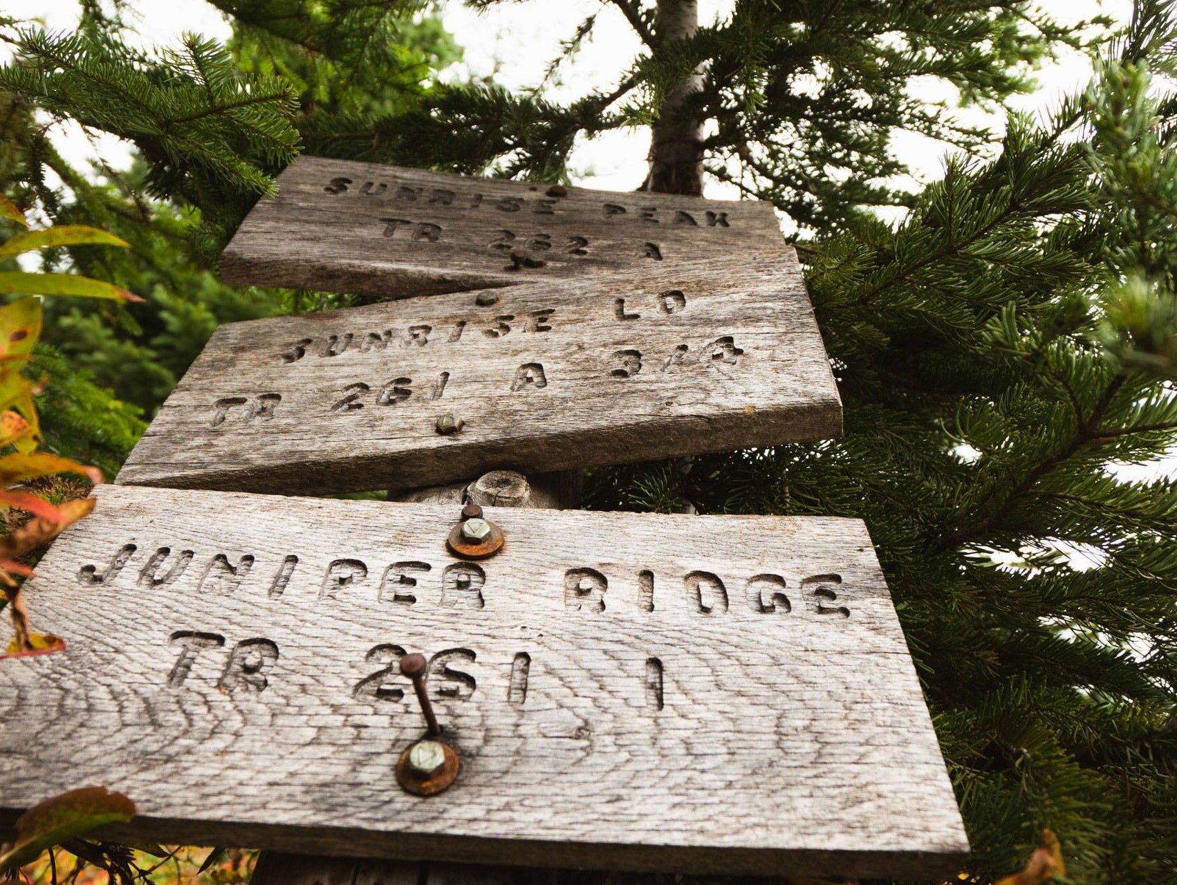 Trans-Cascadia 2018 - Club Ride Apparel