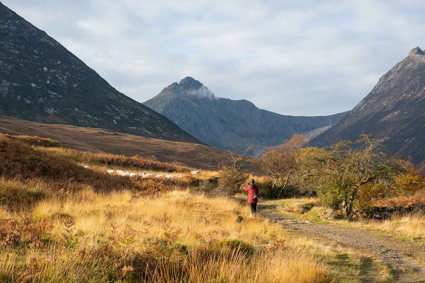 A Scotland Saunter - Club Ride Apparel