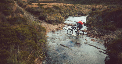 Wild and Wonderful New Zealand