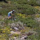 Women's Bandara Shirt - Club Ride Apparel