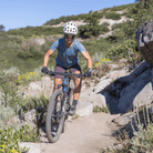 Women's Dazzle Padded Bike Shorts - Club Ride Apparel