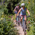 Women's Sleeveless in Seattle Tank - Club Ride Apparel